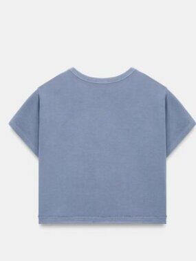 Zara Dusty Blue Cropped Crewneck Tee